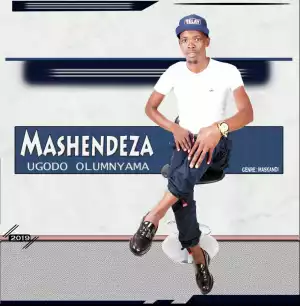 Mashendeza - Abenzakahle